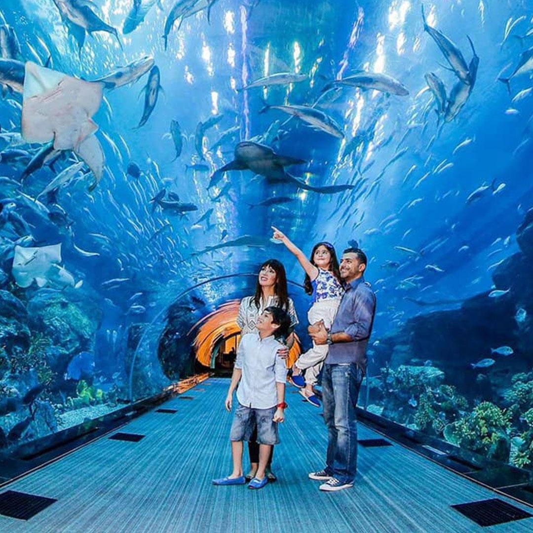 Dubai Aquarium
