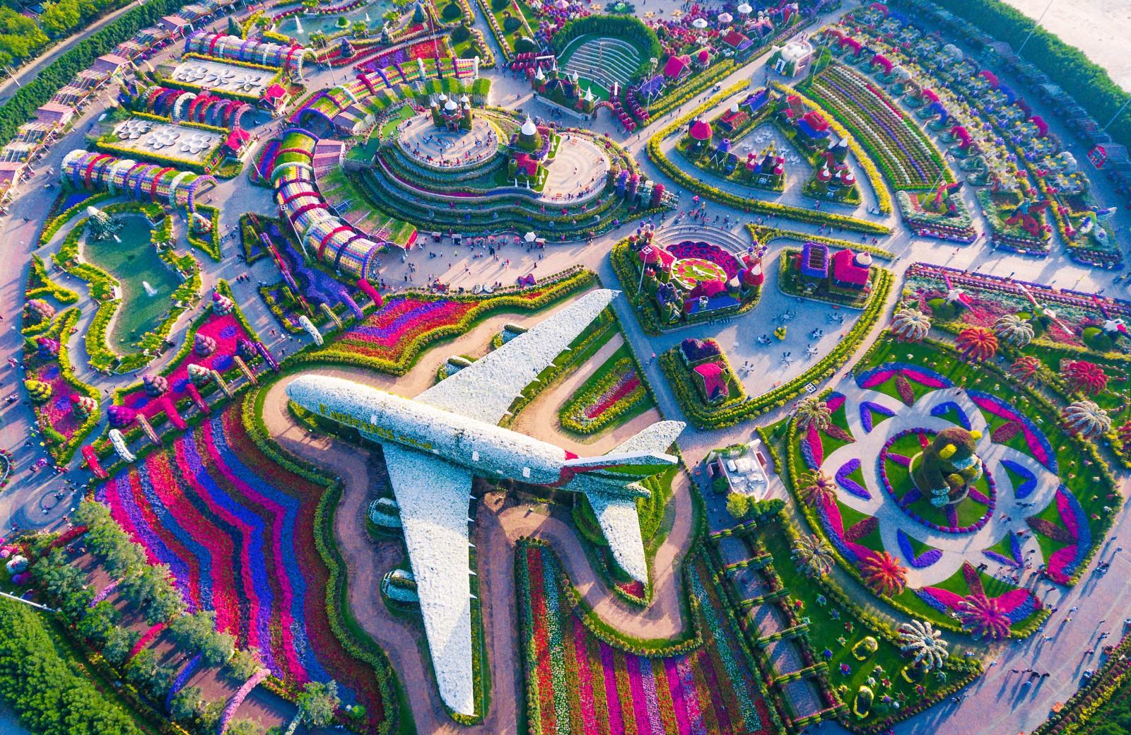 Miracle Garden